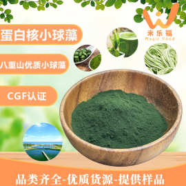 食品原料蛋白核小球藻高蛋白小球藻粉CGF认证绿藻小球藻提取
