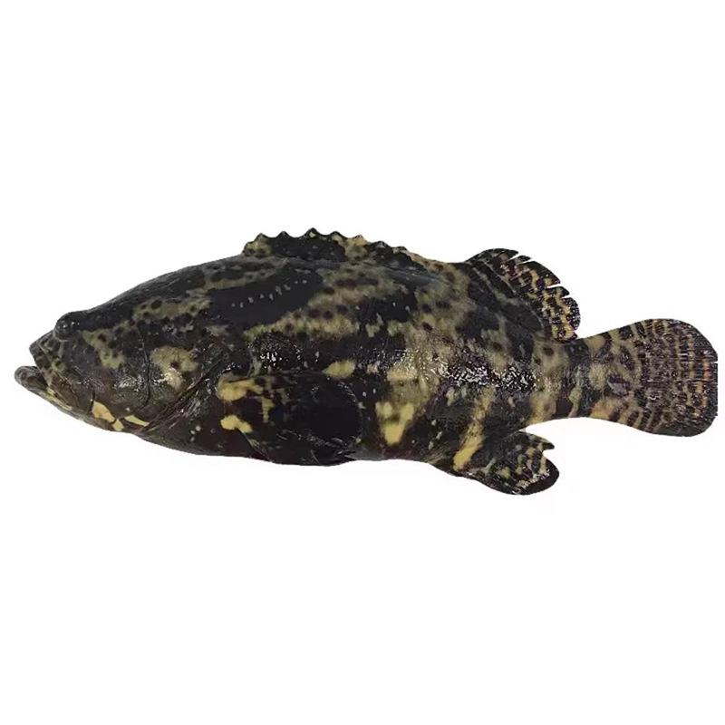 O1CN01hjwYOz2FkUvKzfZdH_!!2214