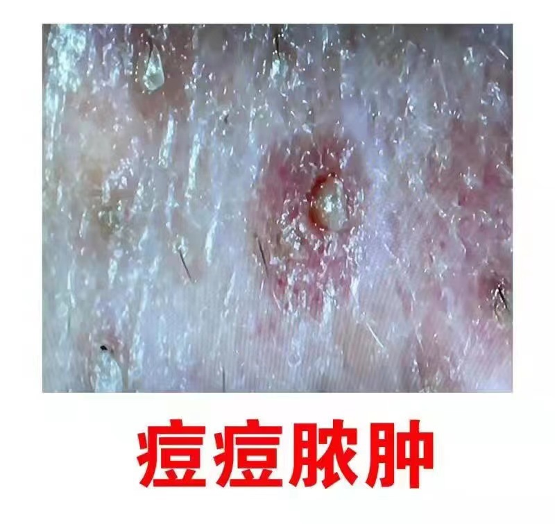 微信图片_20230904115727