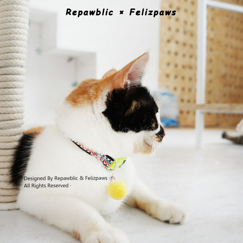 Vòng cổ mèo tùy chỉnh8.jpg