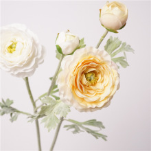 �ָб�ʪ¶����ëݹ��ĵ���������Ҳ�����װ��Ʒ�����Ƶ껨��