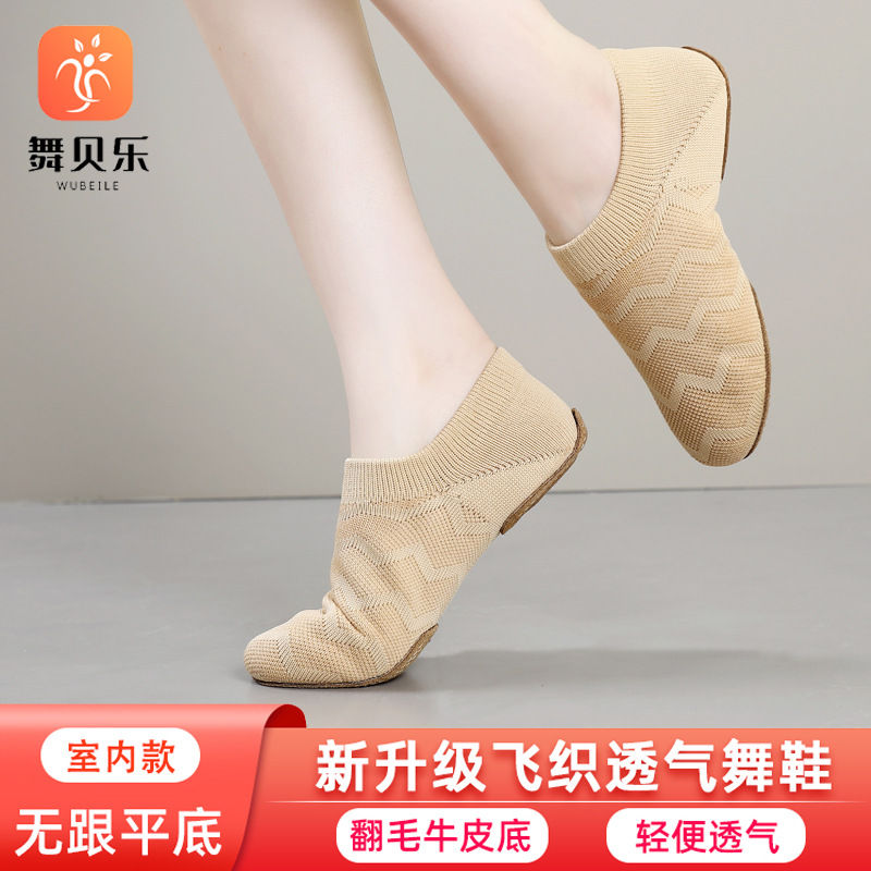 Modern Dance Shoes, Cheerleading Dance Shoes, Women's Soft-Soled Practice Shoes, Ballet Jazz Dance Shoes, Body Shaping Shoes, Ethnic Chinese Dance Shoes