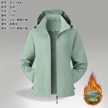 w̳75DƷ|LHﶬӽqŮb泬ᱣů