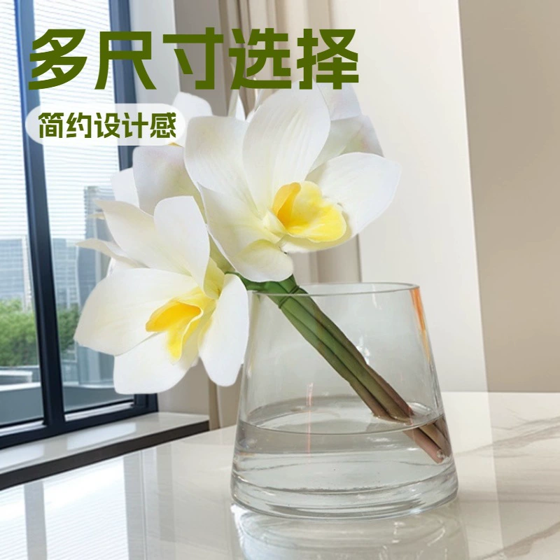 BBGLASS Baobei стеклянная ваза конус стекло гидропоники зелёный укроп принадлежности простое домашнее украшение