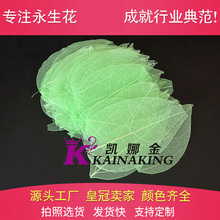 永生花配花配材叶脉片树叶云南干花透明叶子保鲜花花材七夕情人节