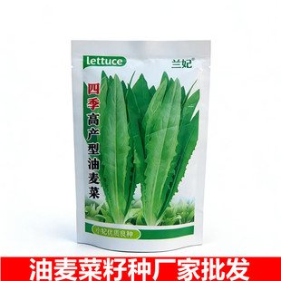 ���ߴ�9-12cm���m���ļ��߮a�����˷N����˷N�ӏS��ֱ�N�߲˷N��