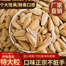 �»�363�ش�����ζ��Ƥ���Ӱ�Ƥ���ֹ�������ŷ����Ӵ������