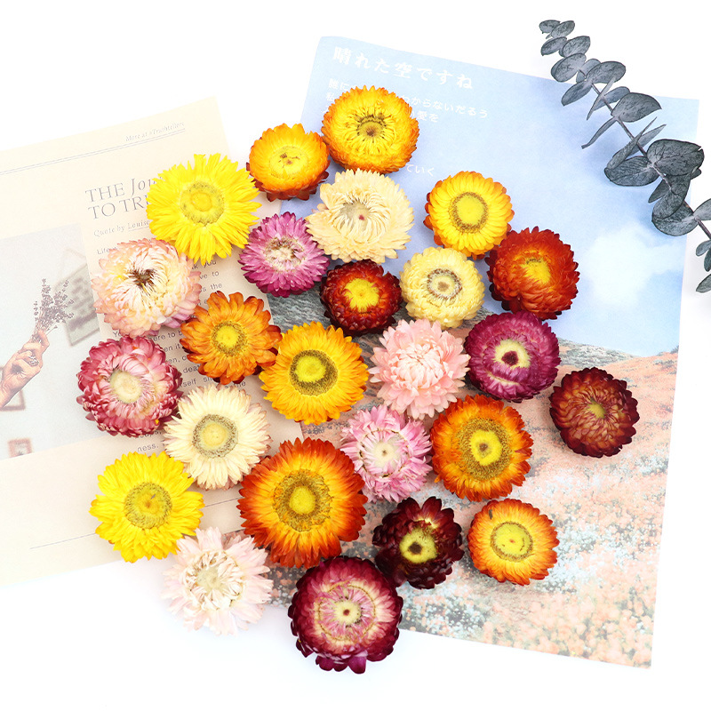 혼합 색상 500 g의 미세 선택