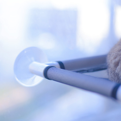 Amazon Pet Supplies Suction Cup Cat Hammock Four Seasons Cat Hammock Removable and Washable Cat Nest Autumn and Winter