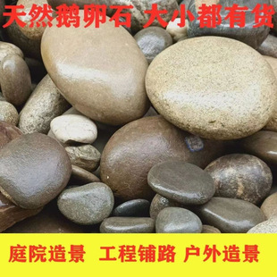 ����1-80������Ȼ����Z��ʯͥԺ�·�����b��Ò����ɫ�Z��ʯ