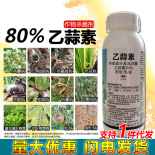 80%�����ؚ������rș��������޻��Sή��ׯ����@������������