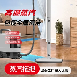 蒸汽拖把;家用吸尘器;蒸汽清洁机