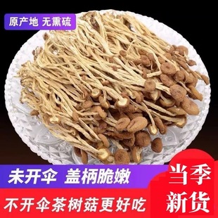 �����ɲ�乽���l ���]���_���乽������؛ɢ�b �a��ֱ�N���l
