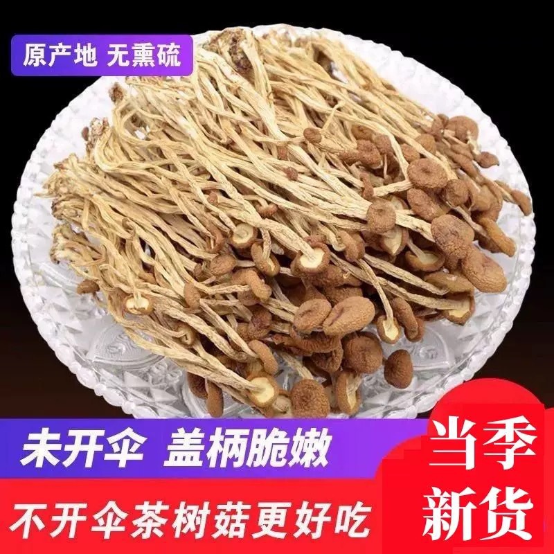 福建干茶树菇批发 包邮不开伞茶树菇菌菇干货散装 产地直销批发