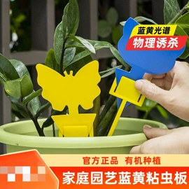 多用途清洁剂;防虫防蛀;营养液