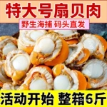 大号扇贝肉新鲜速冻带黄无冰衣海鲜鲜活冷冻野生真空包装250g