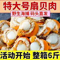 1688带黄冷冻扇贝批发选购指南