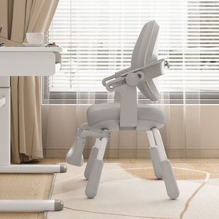 Jg Kidsren's Learning Chair Can Be Lifted and Adjusted for Primary and Secondary School Students Home Learning Chair Desk Writing Chair Backrest Desk