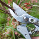 Strong SK5 pruning scissors gardening picking scissors fruit branch scissors flower branch shears garden shears stainless steel coarse branch shears