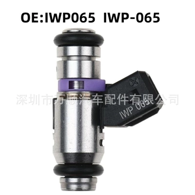 The injector IWP-065 is suitable for Chery Fengyun Fiat Paio IWP065 7078993 (Oil pump, nozzle)