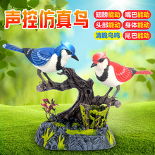 늄ӱظБpBHB٘ؔ[PͲl