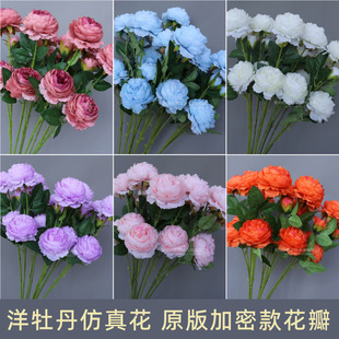 3�^��ĵ�����滨����õ�岼�û�Y�bٻ���÷���Ƶ���Ì��û�
