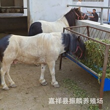 �O���m���㰫�R�r�����Ӗ�õ�С���Rʲô�r����a���_�R����