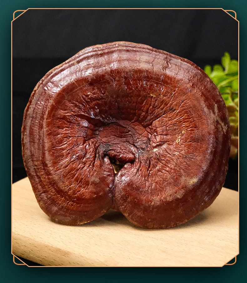 Northeast Reishi Mushroom Gift Box Dried Lingzhi Slices for Tea and Wine Soaking 200g specifications