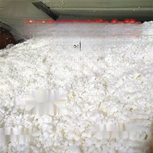 �麣�d����ﺣ�d�w��ӛ���������䱧�������坍���ܶ�����