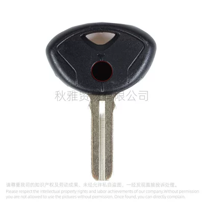 Suitable for Bmw Motorcycle F800Gs S1000Rr R1200R K1200 K1300 Imported Key Embryo (Motorcycle Key) - black