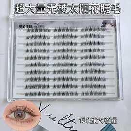 粘胶超大量无梗太阳花假睫毛可爱原生毛流感上镜自然纯欲人气新款