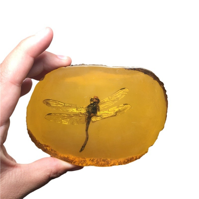인공적으로 최적화 된 앰버 장식품 곤충 피어 GECKO SCORPION DRAGONFLY CICANUS 나비 슬라이스 손 손잡이