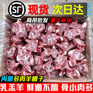 ���ɹ���ϐ�����r���r��������^������10��20���򼹹��������l