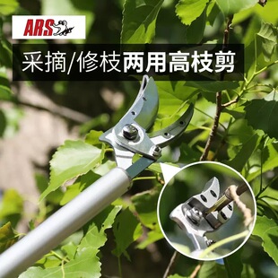 ARS����˹180ZF��֦�� ��s3�׸�֦��֦������߿՜pʡ���ޘ��