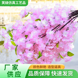 ���l�����b��һ�֦�ɻ�c�͏d��Y������ϻ������bѻ�֦