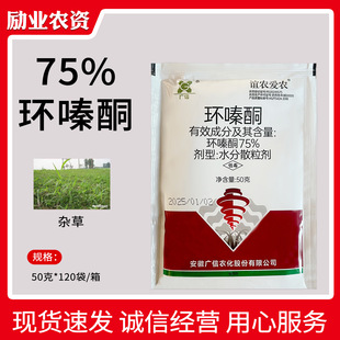 75%�h�ͪ���݄�ɭ�ַ�����s�ݳ��݄��h�ͪ���ՏV��