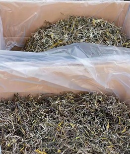 �F؛���l����ն���2023�����䴺��������ɽ����ë����Lկ����