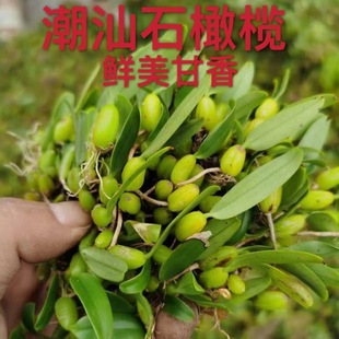 ���lʯ�ϙ� ���r���ǆ��~�й��p�С��ʯ����ʯ��������~�Ҝ�