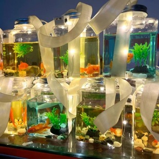 ˮ���W�t�޹��~���ϰ�����ˮƿ�Ӱl���W������۹�������~�[��