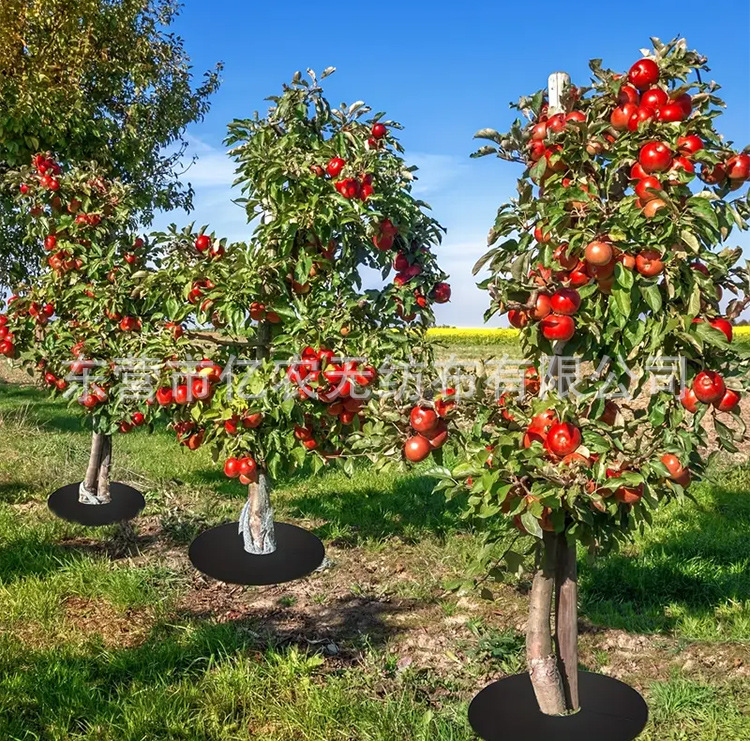 O1CN01NWMSfb1bWgaAwOJ5G_!!2924243473-0-cib.jpg?__r__=1744185953027