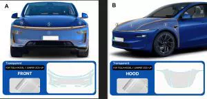 Y Car-Specific Full-Body Tpu | Car paint protective film - renewed-y-front-bumper-hood-fender-tpu-film-no-specifications