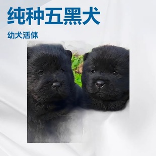 ���l���ƏV��������CȮ����Ȯ��ë�ɪ{��@Ȯ�o�lȮ��ͥ��HȮ��