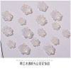 Resin for manicure contains rose, three dimensional white accessory, nail decoration, mountain tea, wholesale