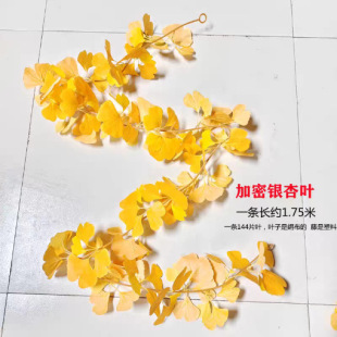 �����y���~�ٻ��ٗl�Sɫ�٘��~���p�@ˮ�ܵ��b����ϻ��Gֲ������