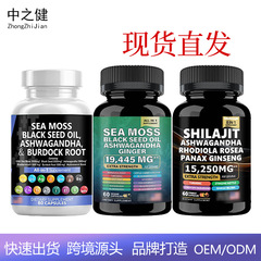 现货TK爆品喜来芝海藻胶囊  茶氨酸肌醇组合组合装90粒瓶装