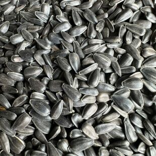 �W�^����Bʳ�Ϳ�С��������Zʳ���B�Sȸ�B�Z������}��Ե���ʳ