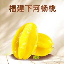 ��S���]����������������rˮ�������r���t���P��������������