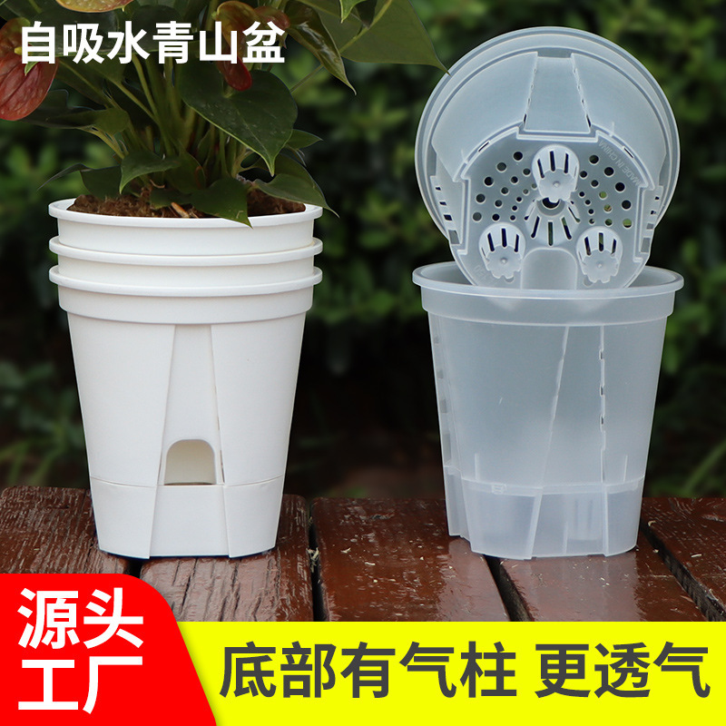 New water storage transparent green mountain basin self-absorbent lazy basin root control basin Zhu Ding red phalaenopsis plastic flower pot wholesale New water storage transparent green mountain basin self-absorbent lazy basin root control basin Zhu Ding red phalaenopsis plastic flower pot wholesale