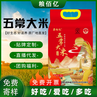 �峣�������l�|���������������L��5����׶Y���b�ͶY�峣������