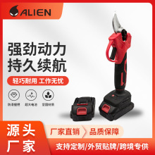 �羳����21v����늼����@�֘�֦�޼�����֦���FƤ�����늱�y